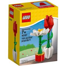 Lego flower LEGO Flower Display 40187