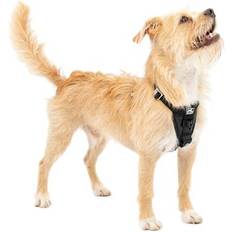 Kurgo Tru-Fit Smart Harness with Seatbelt Tether S Black