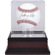 Baseball Sports Fan Products Fanatics Authentic Anthony Volpe New York Yankees Autographed Baseball Display Case