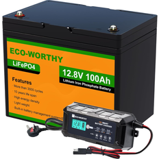 LiFePO4 12.8V 100AH 10A