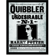 Harry Potter The Quibbler Print Framed Art