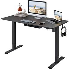 Flexispot Essential Electric Standing Standing Sit Stand Stand Up Writing Desk