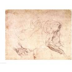BrainBoosters Studies of Hands and an Arm Brown Poster 61x45.7cm