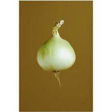 Green Posters BrainBoosters A Yellow Onion Print Poster