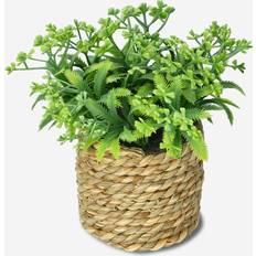 Decorative