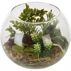 Transparent Decorative Items Julian Charles Fiori Large Glass Pot Succulent Artificial Plant