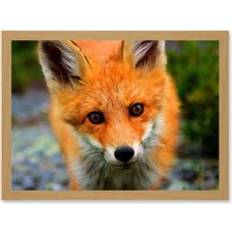 Red Framed Art ARTERY8 Baby Fox Woodland A4 Print Framed Art