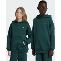 Adidas Hoodies adidas Graphic Hoodie Mineral Green 11-12Y