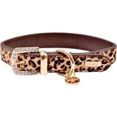 B&G DO&G Safari Leopard Skin Pattern Collar