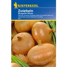 Juni Blumensamen Kiepenkerl Zwiebel cepa Allium