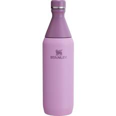 Water Containers Stanley 20 oz. All Day Slim Bottle, Purple