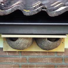 Tuinornamenten Wildlife Huiszwaluwnest Dubbel