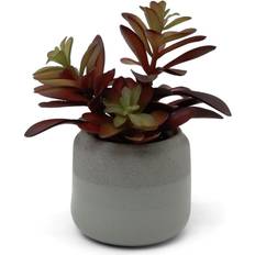 Habitat Succulent Artificial Plant