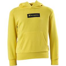 Yellow Hoodies Champion Pastel Hooded Sweatshirt - Yellow