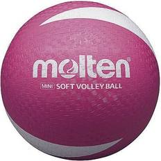SV2P Volleyball