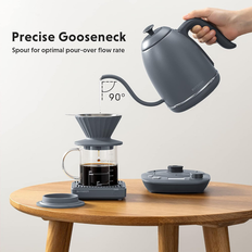 Buydeem Electric Gooseneck Kettle