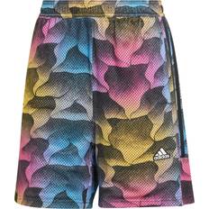 Fitness - Gul - Herre Shorts adidas SPORTSWEAR Sportsbukser 'Tiro Q2' azur gul pink sort azur gul pink sort