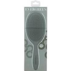 Detangle Brush Evergreen