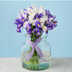 MyFlowers Eternity Small