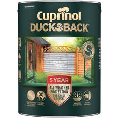 5 Year Ducksback