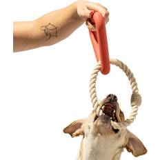 Wildone Triangle Tug Dog Toy