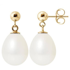 Cultured Earrings - Gold/Pearl