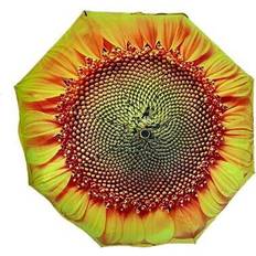Stormking floral collection automatic open close sunflower printed umbrella
