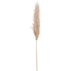 Yellow Artificial Plants Hill Interiors Butter Single Stem Pampas Grass Artificial Plant