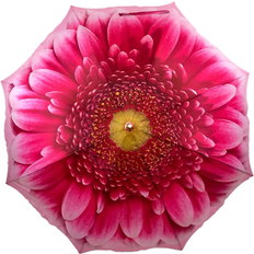 Stormking auto walking floral umbrella pink gerbera