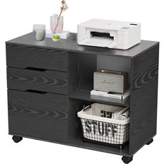 Ebern Designs Black Cabinets Ebern Designs Bralan 31 3 File Storage Cabinet