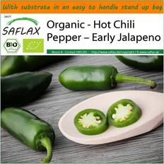 September Seeds Saflax SAFLAX Garden in the Bag Organic Hot Chili Pepper