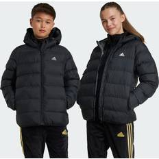 Adidas Girls Outerwear Children's Clothing Adidas Synthetic Down Jacket - Schwarz