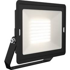 Ansell Lighting Lamper Ansell Lighting Eden Spotlight