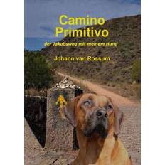 Camino Primitivo