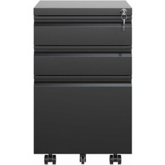 Ebern Designs Black Cabinets Ebern Designs Rakhia 14.57 File Storage Cabinet