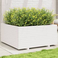 Krukker, Planter & Dyrkning vidaXL Plantekasse 100x100x49.5 cm Massivt Fyrretræ Hvid Højbed