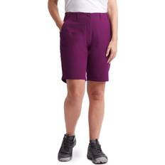 Outdoor Shorts - Purple Rohan Rohan Roamer Walking Shorts