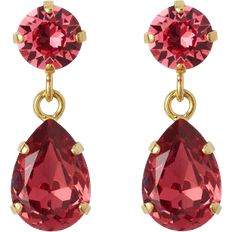 Caroline Svedbom Röd Örhängen Caroline Svedbom Mini Drop Earrings - Gold/Mulberry Red