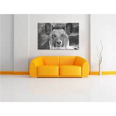 Fotografie Bilder Pixxprint Niedlicher hund wasser wanddeko kunstdruck LFsdrei3192_3Teiler Bild