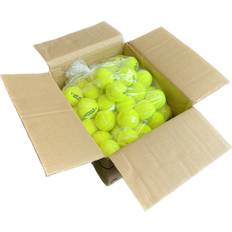 Head Tennisbolde Head Reset Polybag stk -