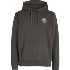 O'Neill Sun Hoodie Herren grau