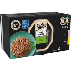 Pets Sheba fine flakes wet cat food jelly