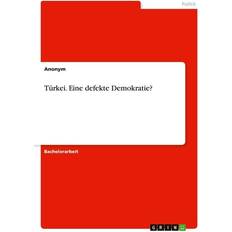 Türkei. Eine Demokratie (Geheftet)