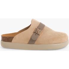 Suede - Women Clogs Scholl Ivy Buckle Suede Clogs, Camel