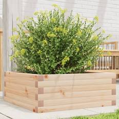 Krukker, Planter & Dyrkning vidaXL Plantekasse 60x60x23 cm Massivt Fyrretræ Højbed