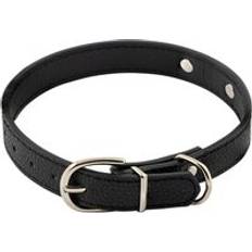 Pets Pet Living Soft PU Dog Collar 45cm