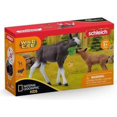 Schleich Lekset på rea Schleich Wild Life Moose with Calf 42603