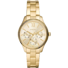 Fossil Rye (BQ3692)