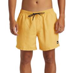 Quiksilver Everyday Deluxe Volley 15" Swim Shorts for Men