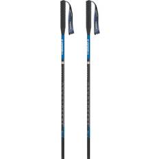 Masters Sassolungo Poles Silver 115